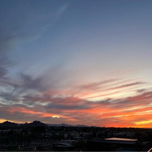 Meet your Posher, Rylee - Picture 1 of 1